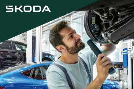 Smart Pricing - Škoda Original Teile Preise gesenkt